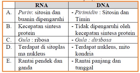 Dna berbentuk heliks ganda terpilin dalam bentuk kromosom dan berada di dalam inti sel . Pernyataan Yang Salah Tentang Perbedaan Dna Dan Rna - DNA