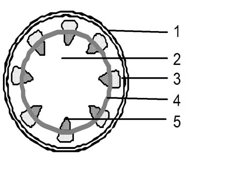 Jaringan adalah sekelompok sel yang memiliki struktur dan fungsi yang sama dan terikat oleh bahan antar sel untuk membentuk satu kesatuan. Soal Organisasi Kehidupan | B-SMART