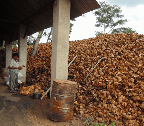 Limbah dinamakan karsinogenik, maksudnya … âAnalisis Unsur Karbon Aktif Tempurung Kelapa - Zans