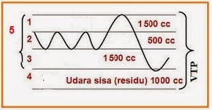 Setelah satu hari, amati yang terjadi dalam kedua. BIOLOGI GONZAGA: OSN BIOLOGI SMP NDEPOK SERI SIRKULASI