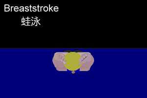 Berenang dengan posisi punggung menghadap ke permukaan air. 4 Gaya Renang | Informasi Seputar Olahraga