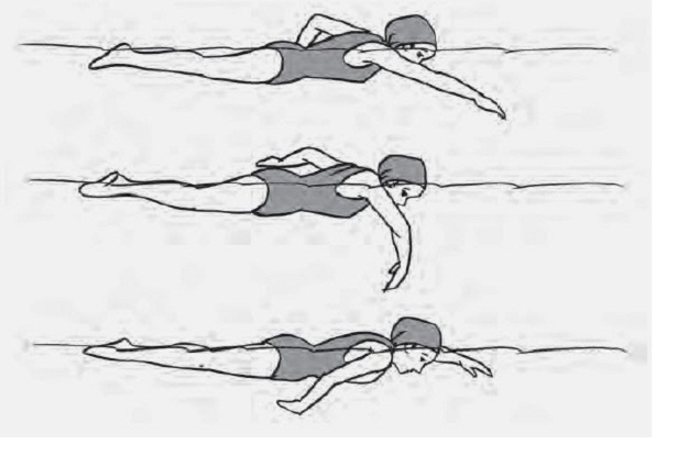 Gaya renang punggung atau disebut backstroke merupakan gaya olahraga renang. Renang gaya bebas - pustakapengetahuan.com