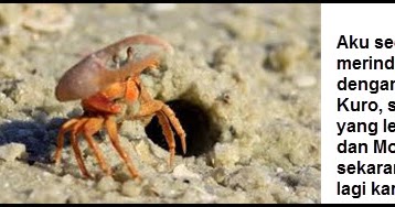 Buatlah peta pikiran yang berisikan informasi tentang pentingnya menjaga keseimbangan alam dan kelestarian sumber daya alam bagi manusia. Peta Pikiran Mengapa Menjaga Keseimbangan Alam Dan