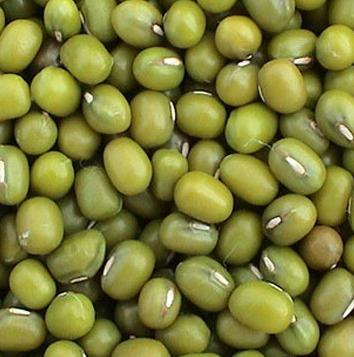 12/4/2020 · kacang hijau adalah tanaman jenis leguminase dengan fisik biji berwarna hijau. MENGENAL JENIS-JENIS TANAMAN PANGAN DAN PALAWIJA