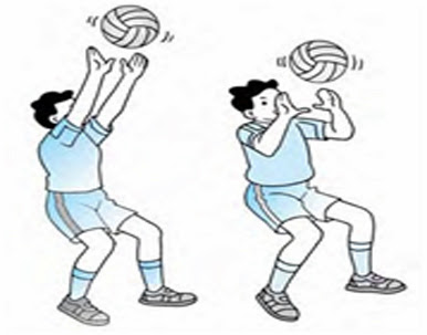 Lengan saat melakukan passing bawah permaian bola voli adalah…. Cara Melakukan Passing Atas Dalam Bola Voli
