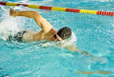Mampu melakukan teknik dasar gerakan kaki gaya dada. Teknik Renang Gaya Bebas - Kumpulan Olahraga