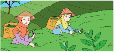 Jenis usaha bidang produksi yang bergerak dalam pengolahan sumber daya alam (hewan dan tumbuhan) disebut usaha. Jenis Usaha dengan Mengolah Sumber Daya Alam (Halaman 26