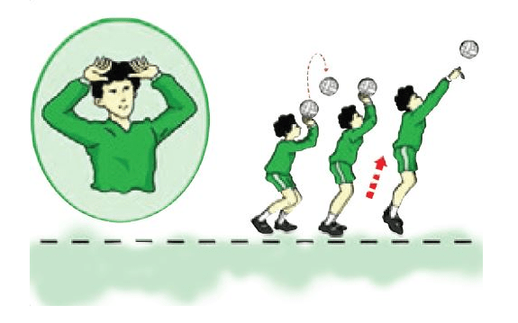 Dalam permainan bola voli, terdapat beberapa teknik dasar yang harus dikuasai oleh setiap pemain agar dapat memainkan permainan bola voli dengan baik. Latihan Soal Pendidikan Jasmani, Olahraga dan Kesehatan