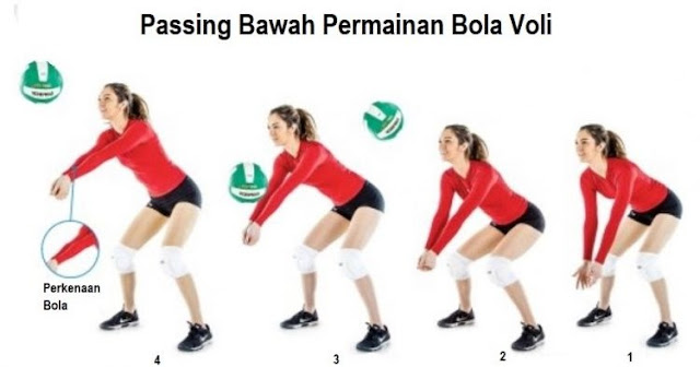 Lengan saat melakukan passing bawah permaian bola voli adalah…. Cara Melakukan Servise Atas, Passing Atas, Passing Bawah