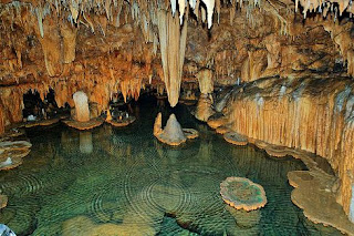 Tidak ada ketegasan dalam pemenuhan kewajiban/pelanggaran hak. Soal UN Jenis Tenaga Eksogen-TERLENGKAP