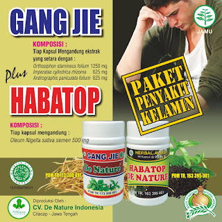 Proses pencernaan makanan melibatkan berbagai organ dalam sistem . 13 MERK OBAT SIPILIS DAN KENCING NANAH PALING AMPUH