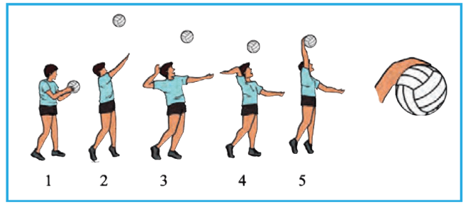 Secara garis besar rangkaian gerak service bawah termasuk gerak diskrit berdasarkan klasifikasi gerak titik dan awal gerakan, karena rangkaian geraknya … Padma's Blog: Januari 2016