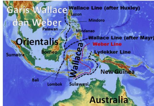 Faktor yang mendukung majunya sektor pertanian di negara mesir adalah. Jelaskan Pembagian Wilayah Zoogeografi Di Indonesia