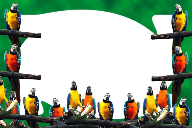 29/9/2021 · seni rupa 2 dimensi tidak punya ruang karena tidak mempunyai ketebalan atau ketinggian. Bingkai Photo | Frame Photo | Kumpulan Bingkai Photo