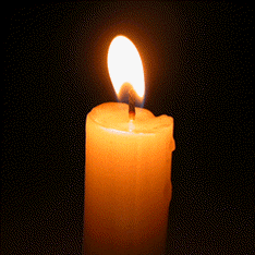 Soal pilihan ganda uas pas tematik tema 1 selamatkan makhluk hidup kelas 6 sd mi. PelajaranSD: Februari 2016