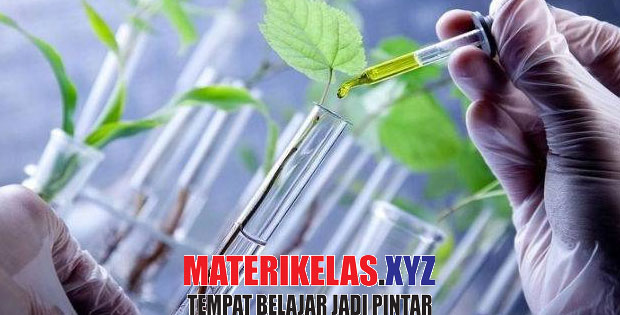 Kulit mengeluarkan zat sisa berbentuk keringat yang tersusun atas air, urea, dan garam. Rangkuman Materi IPA Kelas 9 KTSP Semester 1/2 Lengkap