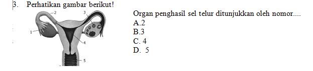 Kompetensi teknis guru smp ipa. Contoh Soal PAS Ganjil IPA Kelas 9 2020/2021 Lengkap