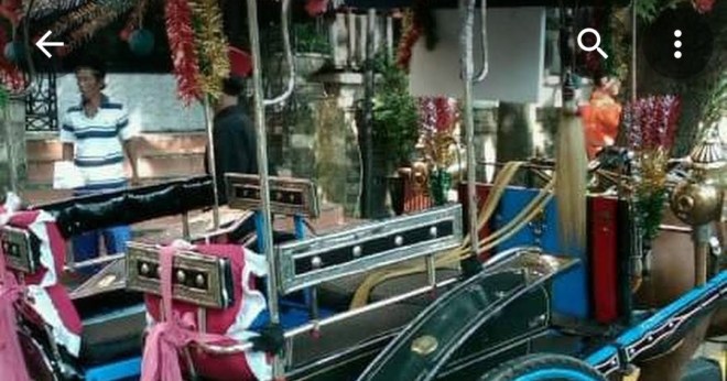 Burung cenderawasih merupakan anggota famili paradisaeidae dari ordo. SEWA BAJU PENGANTIN ADAT, SEWA BAJU BODO dewasa s/d Jumbo