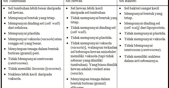 21/8/2020 · sel tumbuhan memiliki komponen atau bagian yang berbeda dengan sel hewan. Ingin Tahu: Perbedaan Sel Tumbuhan Dan Sel Hewan - Biologi