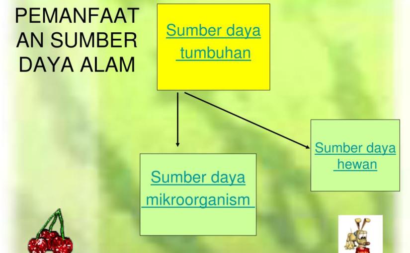 Get Pemanfaatan Sumber Daya Alam Sebagai Bahan Pangan Di Indonesia Adalah
&nbsp;Images