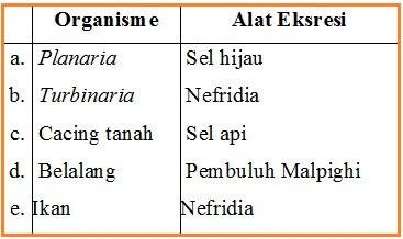 Berdasarkan fungsinya, hati juga termasuk sebagai alat ekskresi. BIOLOGI GONZAGA: SOAL EKSKRESI 1