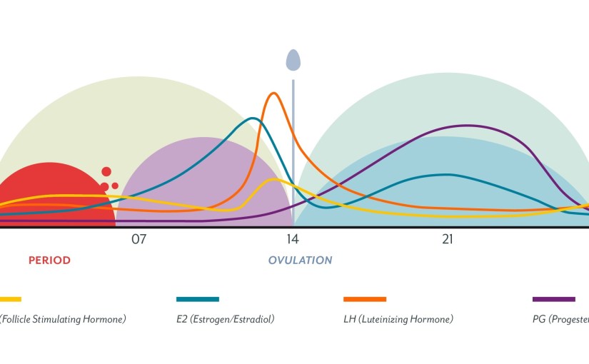 49+ Pasangan Antara Bagian Alat Reproduksi Laki-Laki Dan Fungsinya Berikut Ini Yang Benar Adalah
&nbsp;PNG