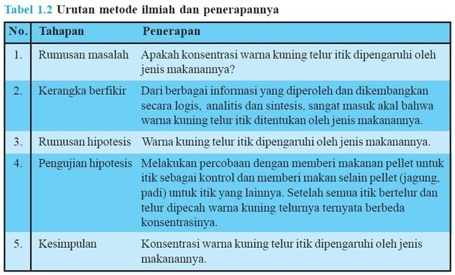 View Dampak Positif Dari Internet Dalam Kehidupan Sehari-Hari Adalah Brainly&nbsp;PNG