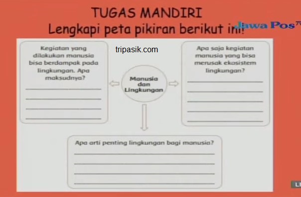 Manusia atau orang (homo sapiens, bahasa latin yang berarti manusia yang tahu) adalah spesies primata dengan populasi yang terbesar, persebaran yang paling luas, dan dicirikan dengan kemampuannya untuk berjalan di atas dua kaki serta otak yang kompleks yang mampu membuat peralatan, budaya, dan bahasa yang rumit. Soal SBO TV 24 Mei 2021 Kelas 1, 2, 3, 4, 5, 6 SD + Jawaban