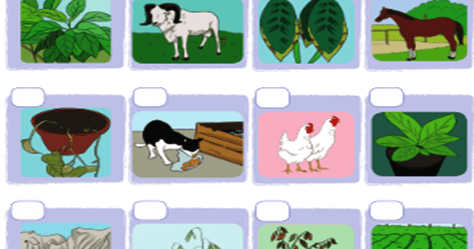 Tumbuhan tidak terawat dapat mengakibatkan kematian tumbuhan atau hewan. Media Pembelajaran: LK.06 PEMBELAJARAN TEMATIK SD