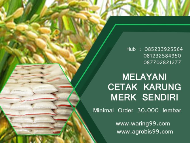 Utara dan upaya apakah yang dilakukan badan pengawas obat dan makanan dalam. 5 Ciri Karung Beras Berkualitas | Pertanian Padi