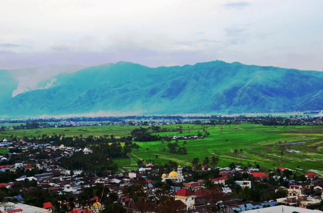 Yang disebut paru paru dunia adalah hutan karena terdiri dari banyak pohon yang menyerap karbondioksida dan menghasilkan oksigen. sumber ilmu: KERINCI