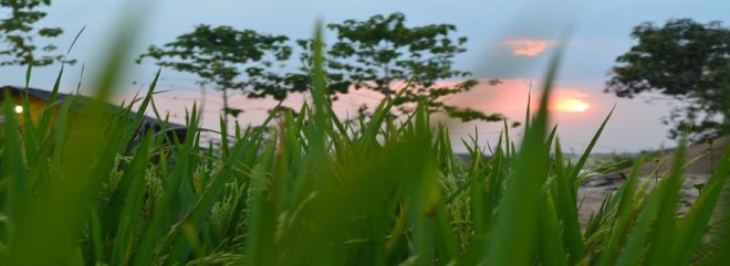 Disaat yang bersamaan, tubuh memproduksi hormon endorfin yang . Merfiana Andini