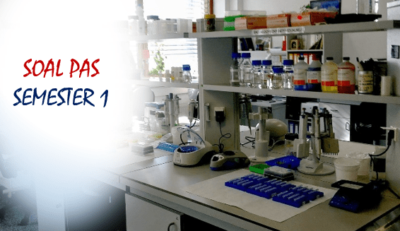 Poin pada teks ini adalah . 22+ Manakah Teks Yang Termasuk Laporan Jelaskan Viral - Hutomo