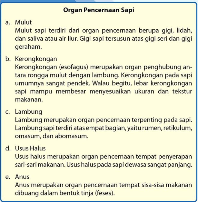 Enzim tersebut berfungsi untuk memecah beragam zat makanan seperti lemak dan protein. MaGic'BloG: Cara Tubuh Mengolah Makanan