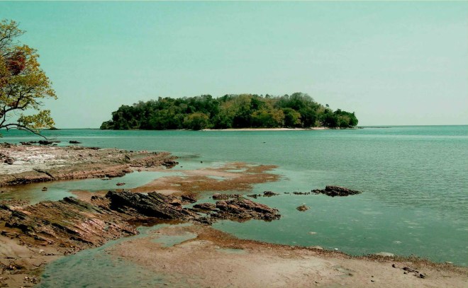 Fakta nomor berapa yang baru kamu tahu? Mengapa Thailand Disebut Sebagai Lumbung Padinya Asia